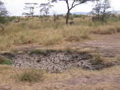 Dried Up Water Hole