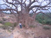 Us with Baobob Tree