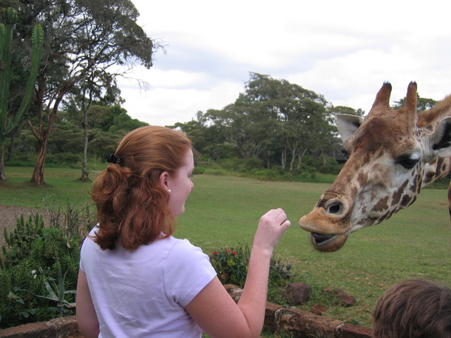 Katie Feeding a Giraffe