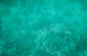 Trying to take a picture of fish...didn't work so well!