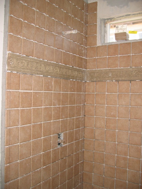 Downstairs Bath --- no grout yet