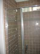 Downstairs Bath - Shower
