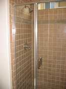 Downstairs Bath - Shower