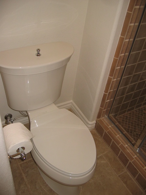 Downstairs Bath - Toilet