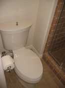 Downstairs Bath - Toilet