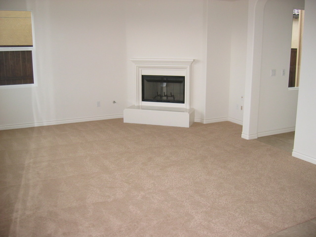 Family Room - Fireplace