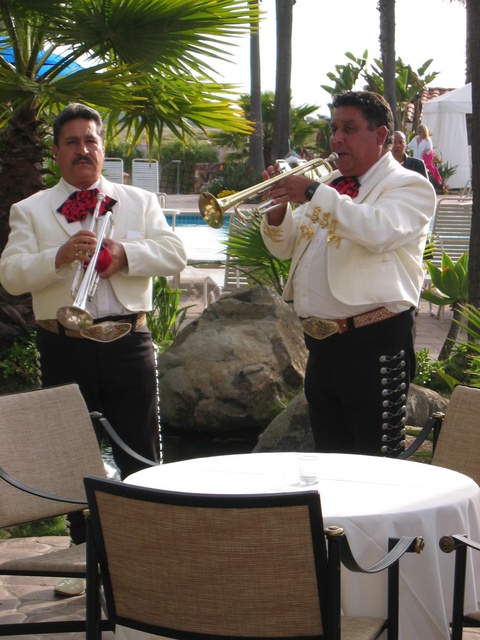 Mariachis