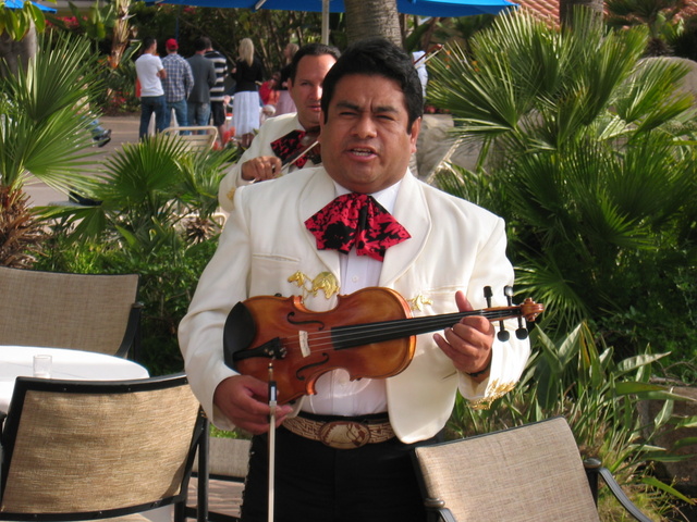 Mariachis