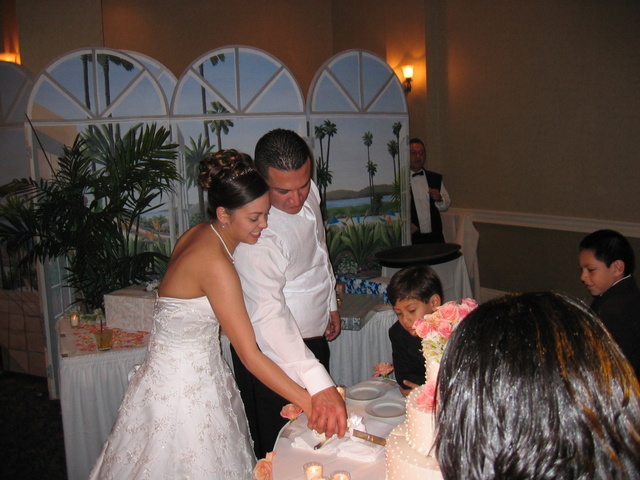 Cake Cutting