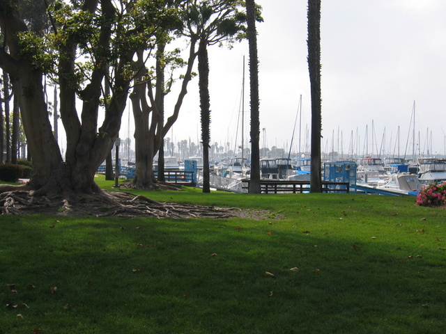 The Marina