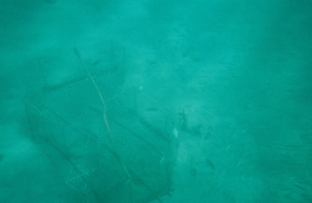 Lobster Trap