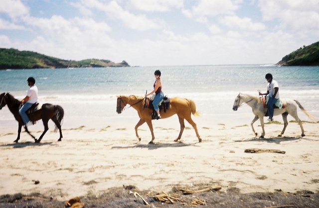 Riding Our Horses