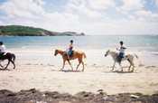 Riding On the Beach