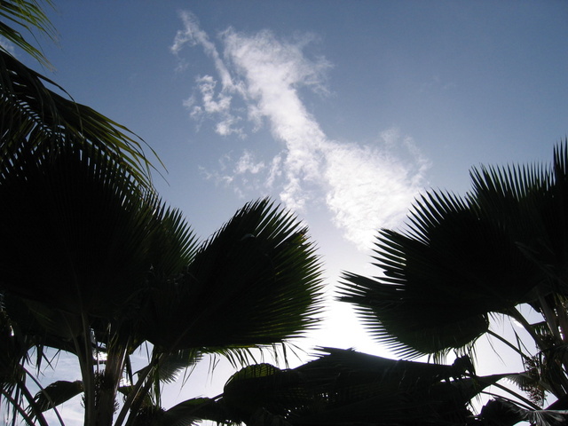 Laying in a Hammock