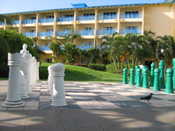 Giant Chess Board