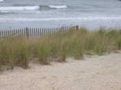 Beach & Dunes