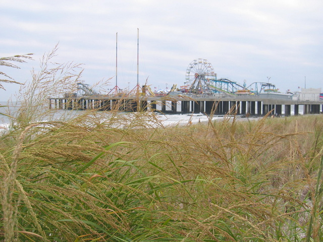 Boardwalk Carnival