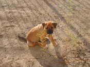 Picture 033