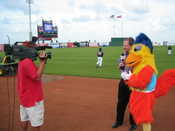 The Chicken and a TV broadcast