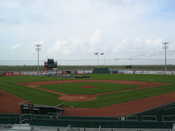 The field