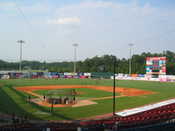 The field