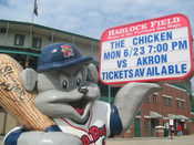 Slugger the Sea Dog