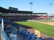 The field